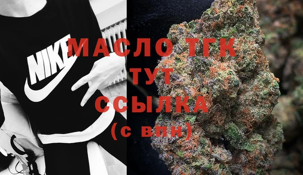 гидра Слюдянка