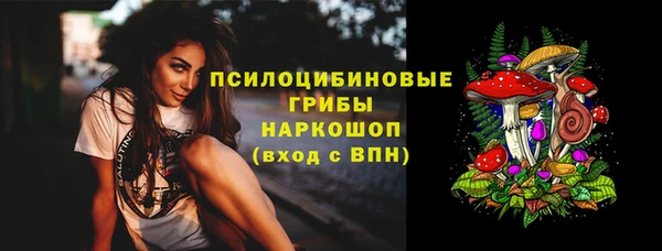 индика Снежногорск