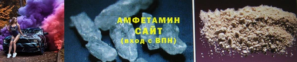 индика Снежногорск