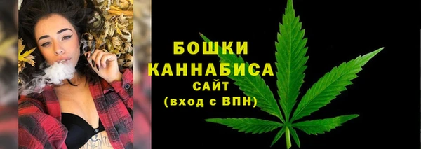 гидра Слюдянка