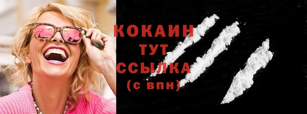 индика Снежногорск