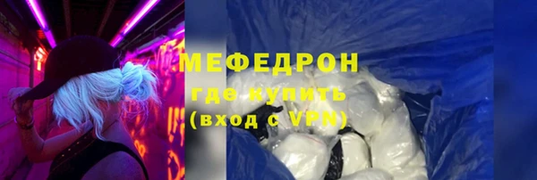 индика Снежногорск