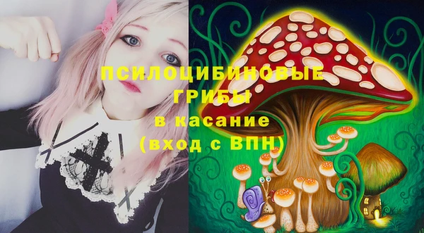 мдпв Снежинск