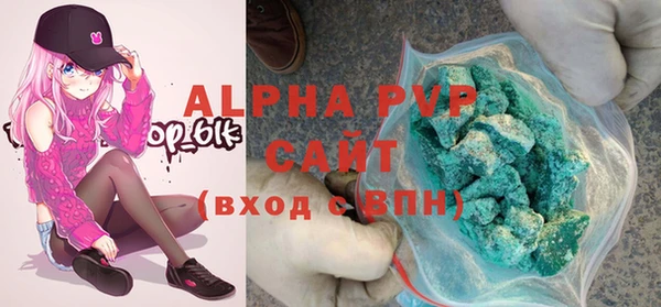 индика Снежногорск