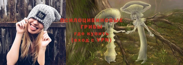 гидра Слюдянка