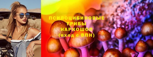 гидра Слюдянка