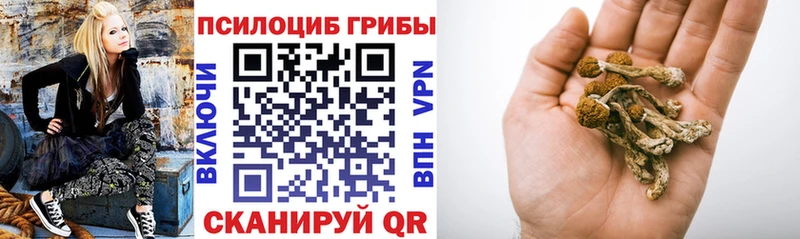 Купить где  Тара  Псилоцибиновые грибы ЛСД 